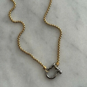 Silver Horse Bit Chunky Charm Clasp Carabiner Necklace

Brand New